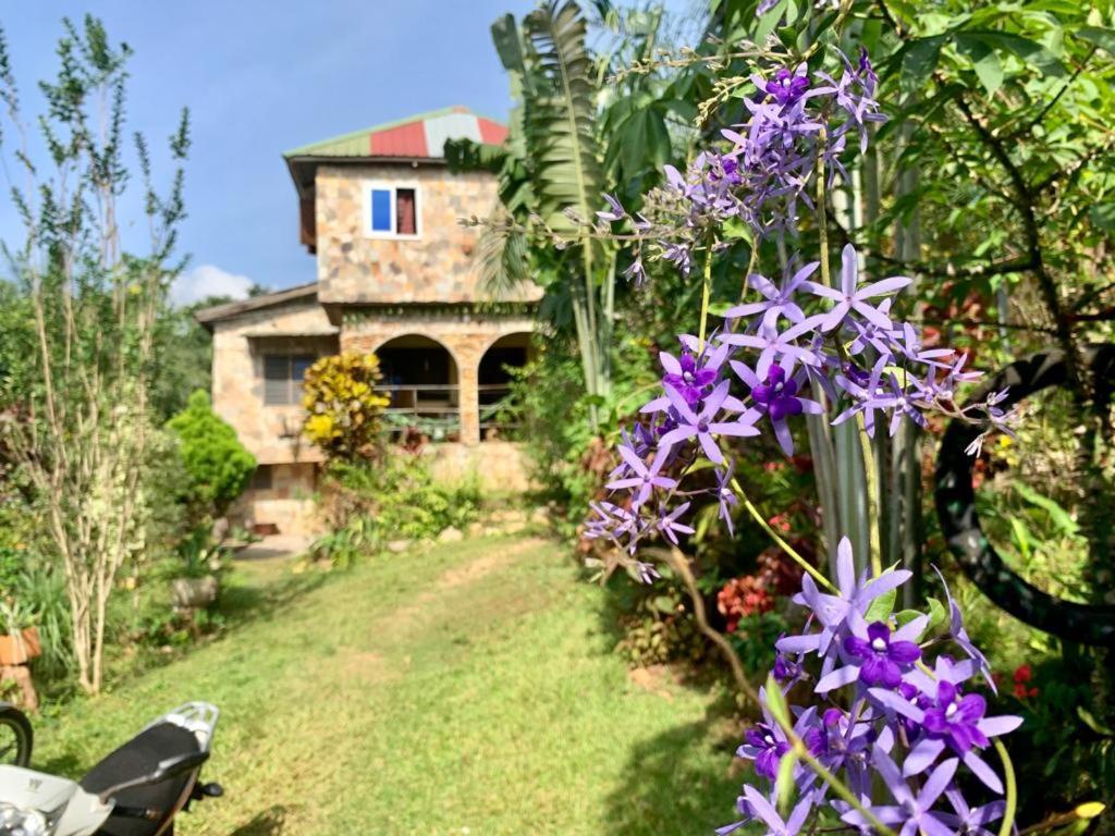 Maison Au Calme Dans La Nature Kpalimé Exterior photo